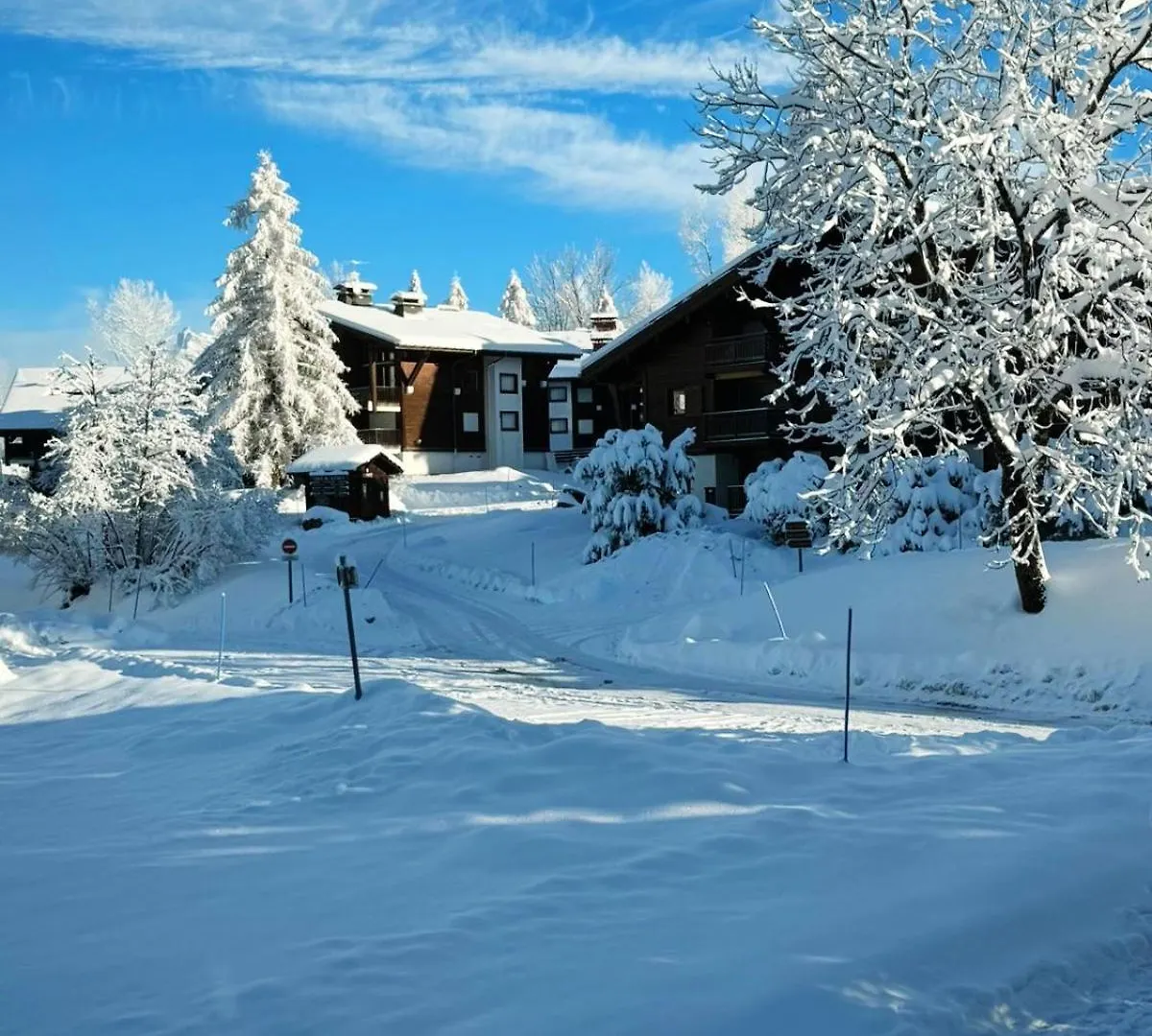 Le Flocon Du Mont Darbois Classe 3 Etoiles Megeve